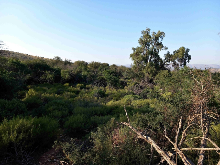 Commercial Property for Sale in Uniondale Rural Western Cape